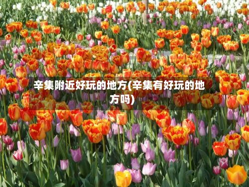 辛集附近好玩的地方(辛集有好玩的地方吗)-第2张图片