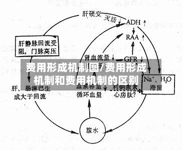 费用形成机制图/费用形成机制和费用机制的区别