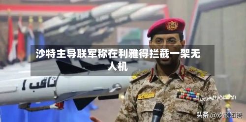 沙特主导联军称在利雅得拦截一架无人机