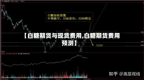 【白糖期货与现货费用,白糖期货费用预测】