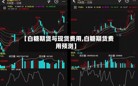 【白糖期货与现货费用,白糖期货费用预测】-第3张图片
