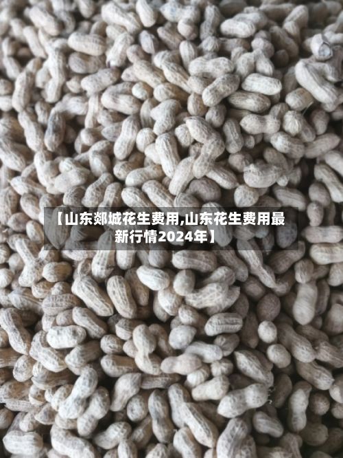 【山东郯城花生费用,山东花生费用最新行情2024年】-第2张图片