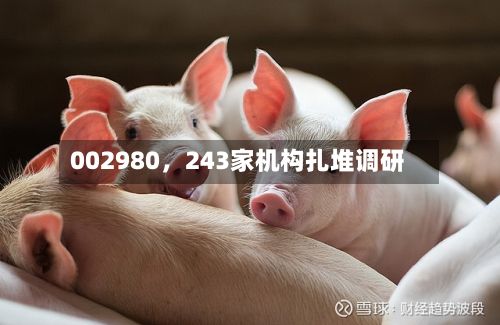 002980，243家机构扎堆调研-第3张图片