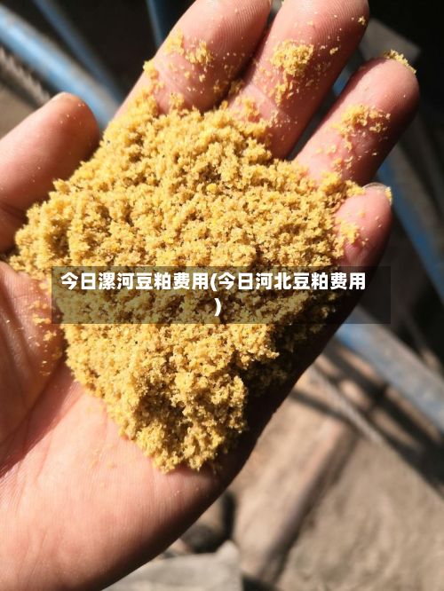 今日漯河豆粕费用(今日河北豆粕费用)-第2张图片