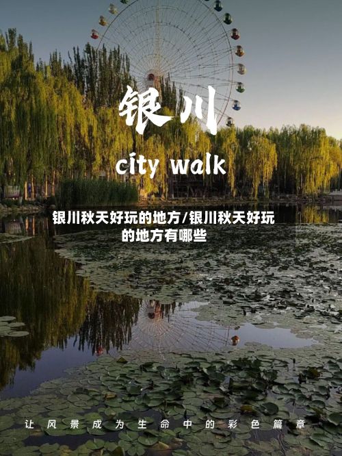 银川秋天好玩的地方/银川秋天好玩的地方有哪些