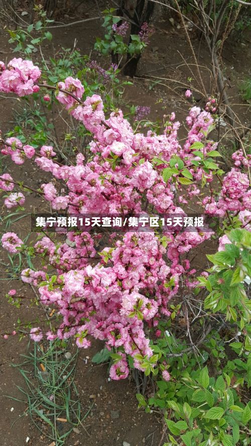 集宁预报15天查询/集宁区15天预报-第2张图片