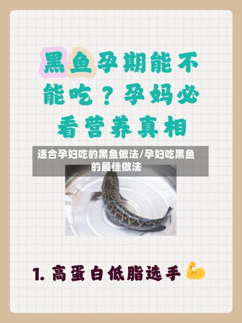 适合孕妇吃的黑鱼做法/孕妇吃黑鱼的最佳做法