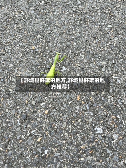 【舒城县好玩的地方,舒城县好玩的地方推荐】