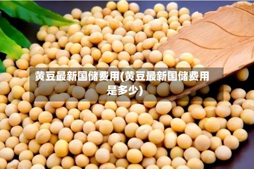 黄豆最新国储费用(黄豆最新国储费用是多少)