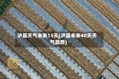 泸县天气未来15天(泸县未来40天天气趋势)-第3张图片