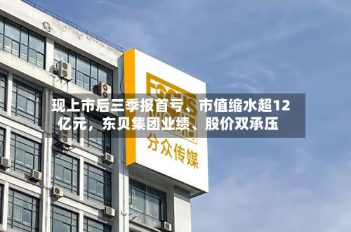 现上市后三季报首亏、市值缩水超12亿元，东贝集团业绩、股价双承压-第2张图片