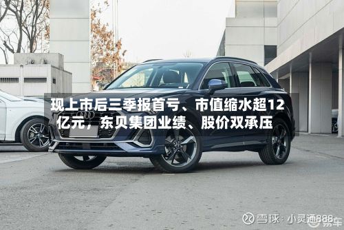 现上市后三季报首亏	、市值缩水超12亿元，东贝集团业绩、股价双承压-第3张图片