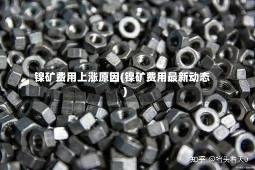 镍矿费用上涨原因(镍矿费用最新动态)