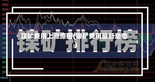 镍矿费用上涨原因(镍矿费用最新动态)-第2张图片