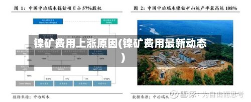 镍矿费用上涨原因(镍矿费用最新动态)-第3张图片