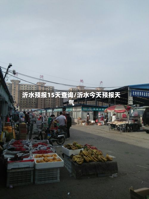 沂水预报15天查询/沂水今天预报天气-第2张图片