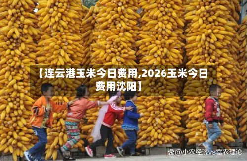 【连云港玉米今日费用,2026玉米今日费用沈阳】