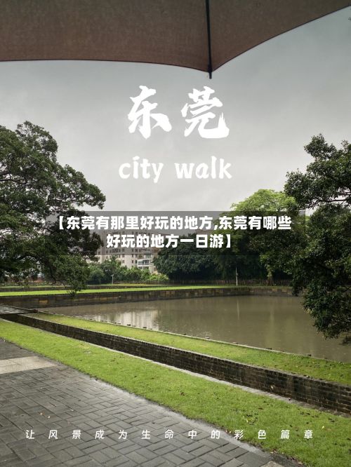 【东莞有那里好玩的地方,东莞有哪些好玩的地方一日游】-第3张图片