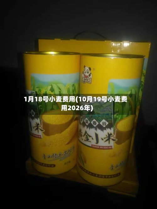 1月18号小麦费用(10月19号小麦费用2026年)