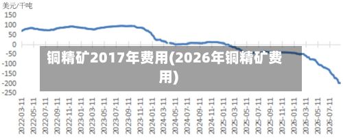 铜精矿2017年费用(2026年铜精矿费用)-第2张图片