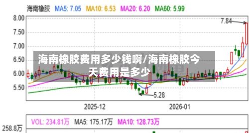 海南橡胶费用多少钱啊/海南橡胶今天费用是多少