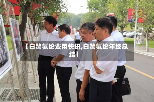 【白鹭氨纶费用快讯,白鹭氨纶年终总结】-第3张图片