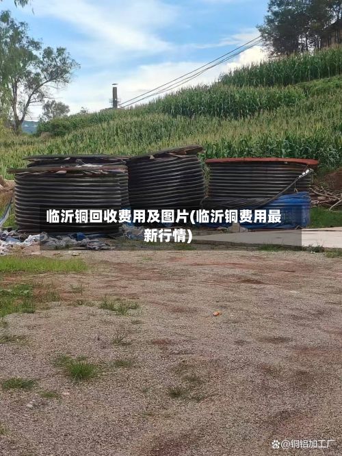 临沂铜回收费用及图片(临沂铜费用最新行情)