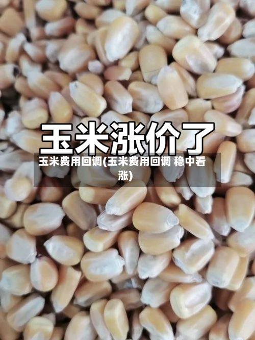 玉米费用回调(玉米费用回调 稳中看涨)-第2张图片