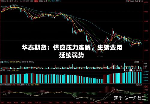 华泰期货：供应压力难解	，生猪费用延续弱势-第1张图片
