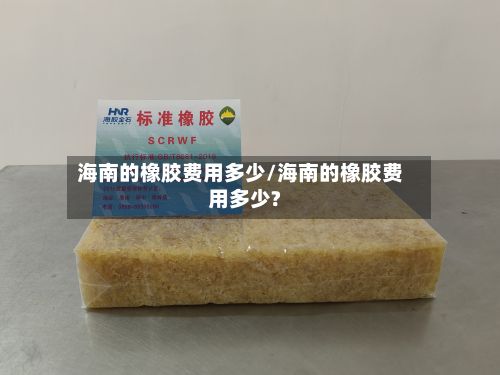 海南的橡胶费用多少/海南的橡胶费用多少?-第3张图片