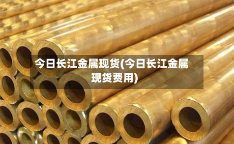 今日长江金属现货(今日长江金属现货费用)-第2张图片