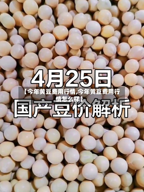 【今年黄豆费用行情,今年黄豆费用行情怎么样】-第2张图片