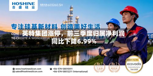 英特集团涨停，前三季度归属净利润同比下降6.99%