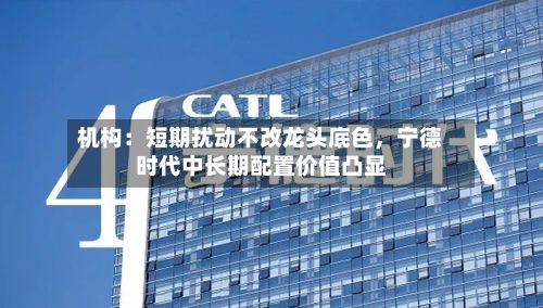 机构：短期扰动不改龙头底色，宁德时代中长期配置价值凸显-第2张图片