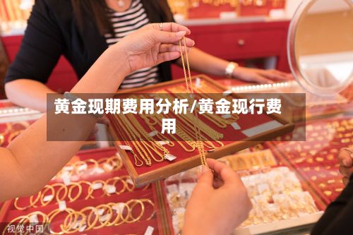 黄金现期费用分析/黄金现行费用