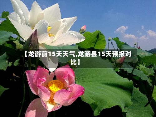 【龙游前15天天气,龙游县15天预报对比】