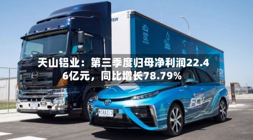天山铝业：第三季度归母净利润22.46亿元，同比增长78.79%-第3张图片
