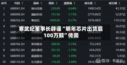 寒武纪董事长辟谣“明年芯片出货超100万颗”传闻