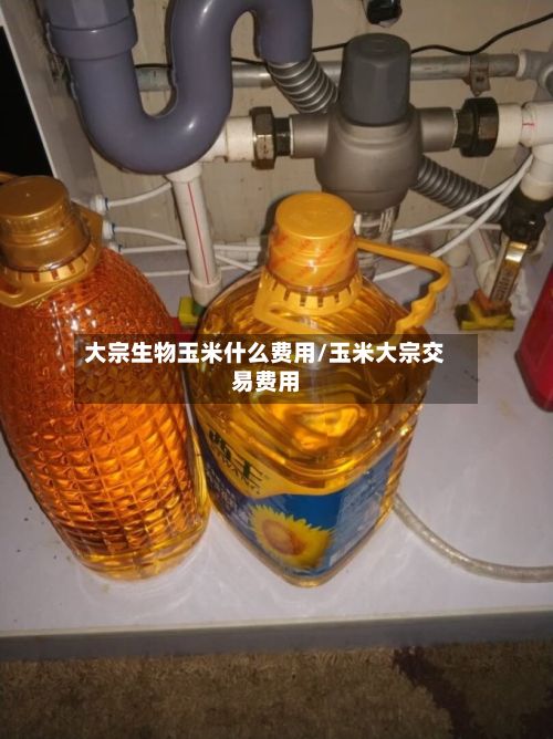 大宗生物玉米什么费用/玉米大宗交易费用-第2张图片