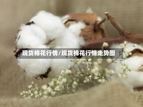 现货棉花行情/现货棉花行情走势图