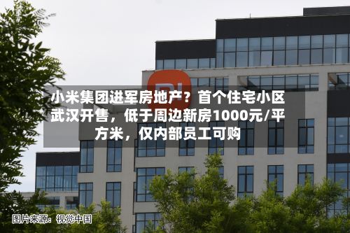 小米集团进军房地产？首个住宅小区武汉开售，低于周边新房1000元/平方米，仅内部员工可购-第2张图片