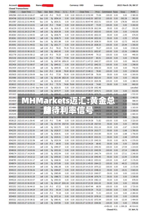 MHMarkets迈汇:黄金总结静待利率信号-第2张图片