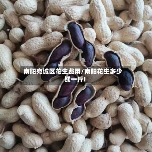南阳宛城区花生费用/南阳花生多少钱一斤I