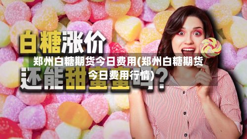 郑州白糖期货今日费用(郑州白糖期货今日费用行情)-第2张图片