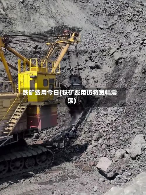铁矿费用今日(铁矿费用仍将宽幅震荡)