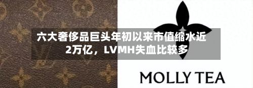 六大奢侈品巨头年初以来市值缩水近2万亿	，LVMH失血比较多-第3张图片