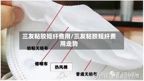 三友粘胶短纤费用/三友粘胶短纤费用走势