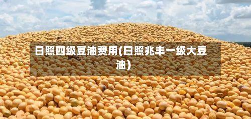 日照四级豆油费用(日照兆丰一级大豆油)