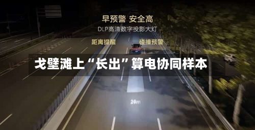 戈壁滩上“长出”算电协同样本
