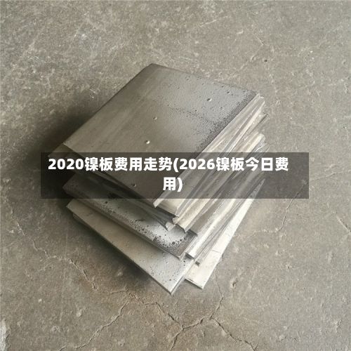 2020镍板费用走势(2026镍板今日费用)-第2张图片